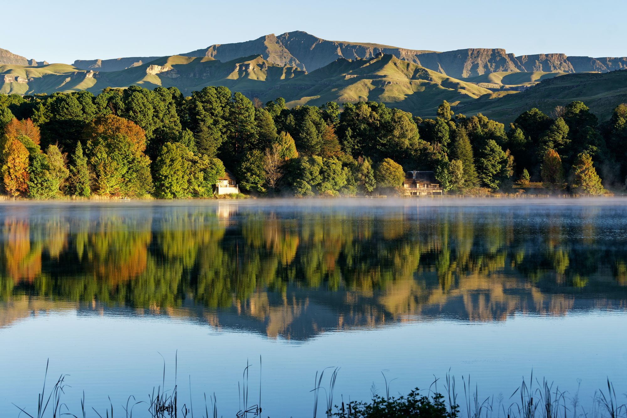 A beautiful green mountain is reflected in a lake.