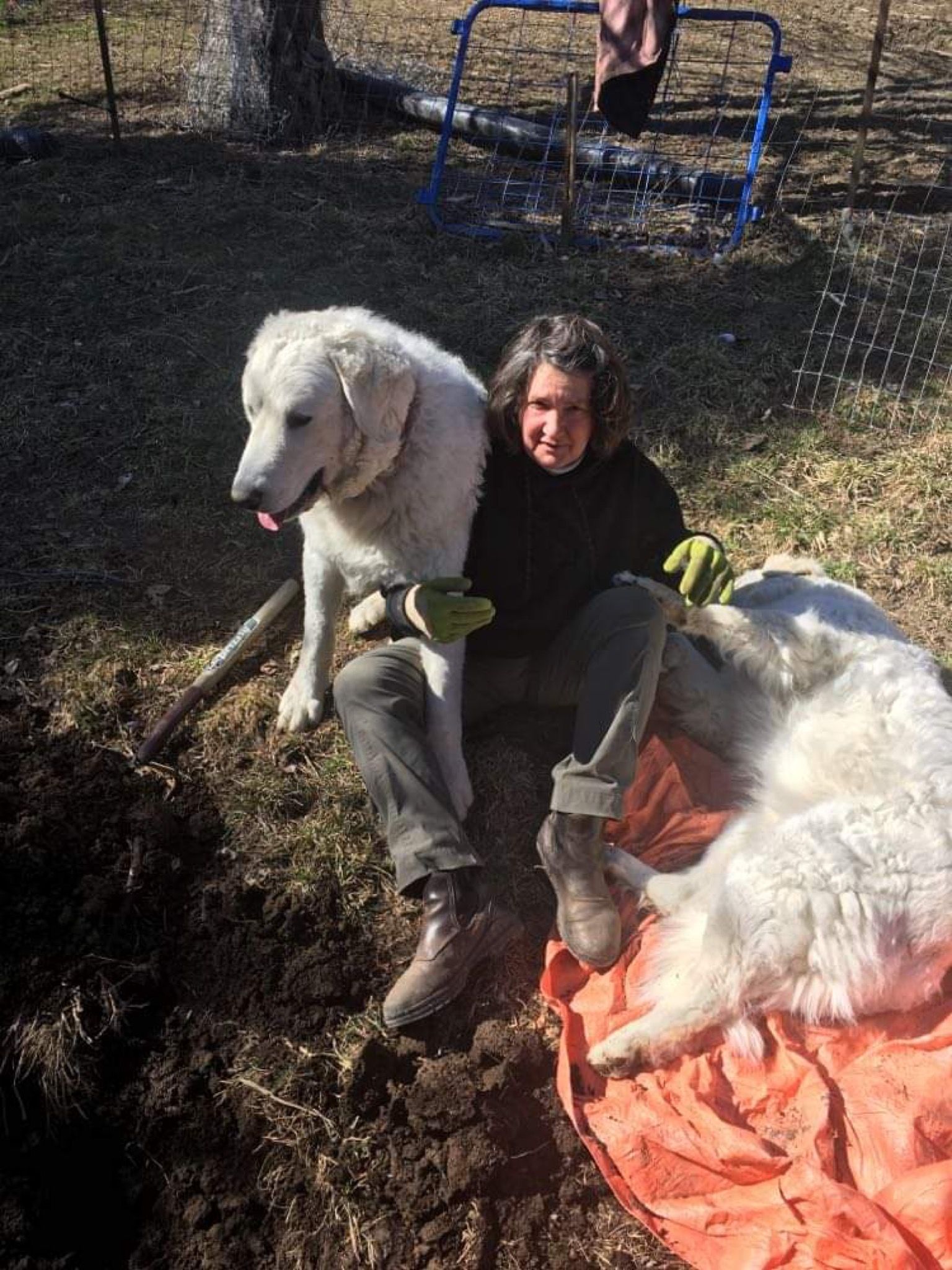 Certified Organic Permaculture Farm - Sharon Creek Farm