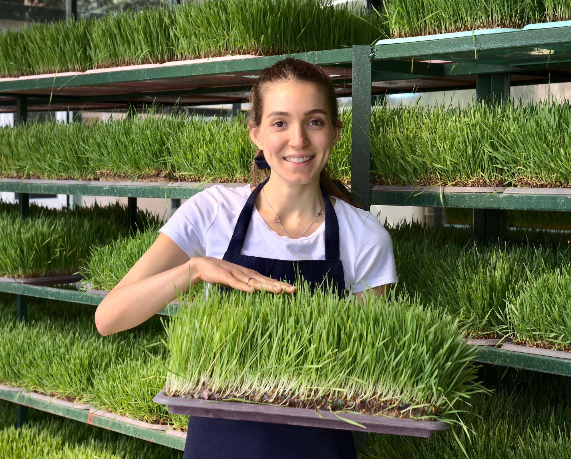 Stay Rooted, Sprout Well - Ancient Greens