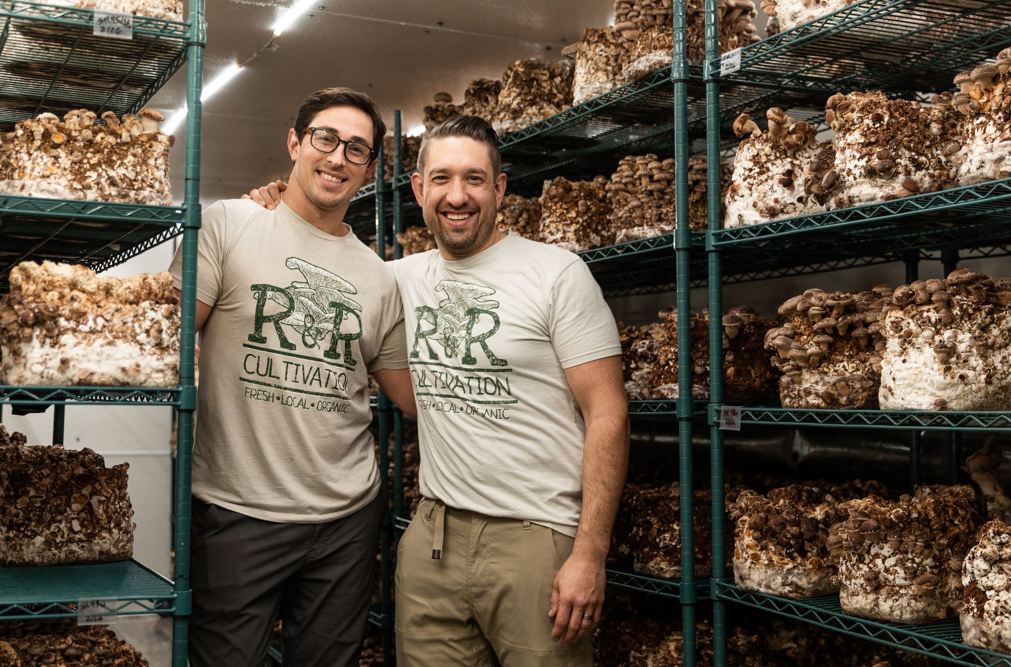 Fresh Minnesota Mushrooms - R&R Cultivation