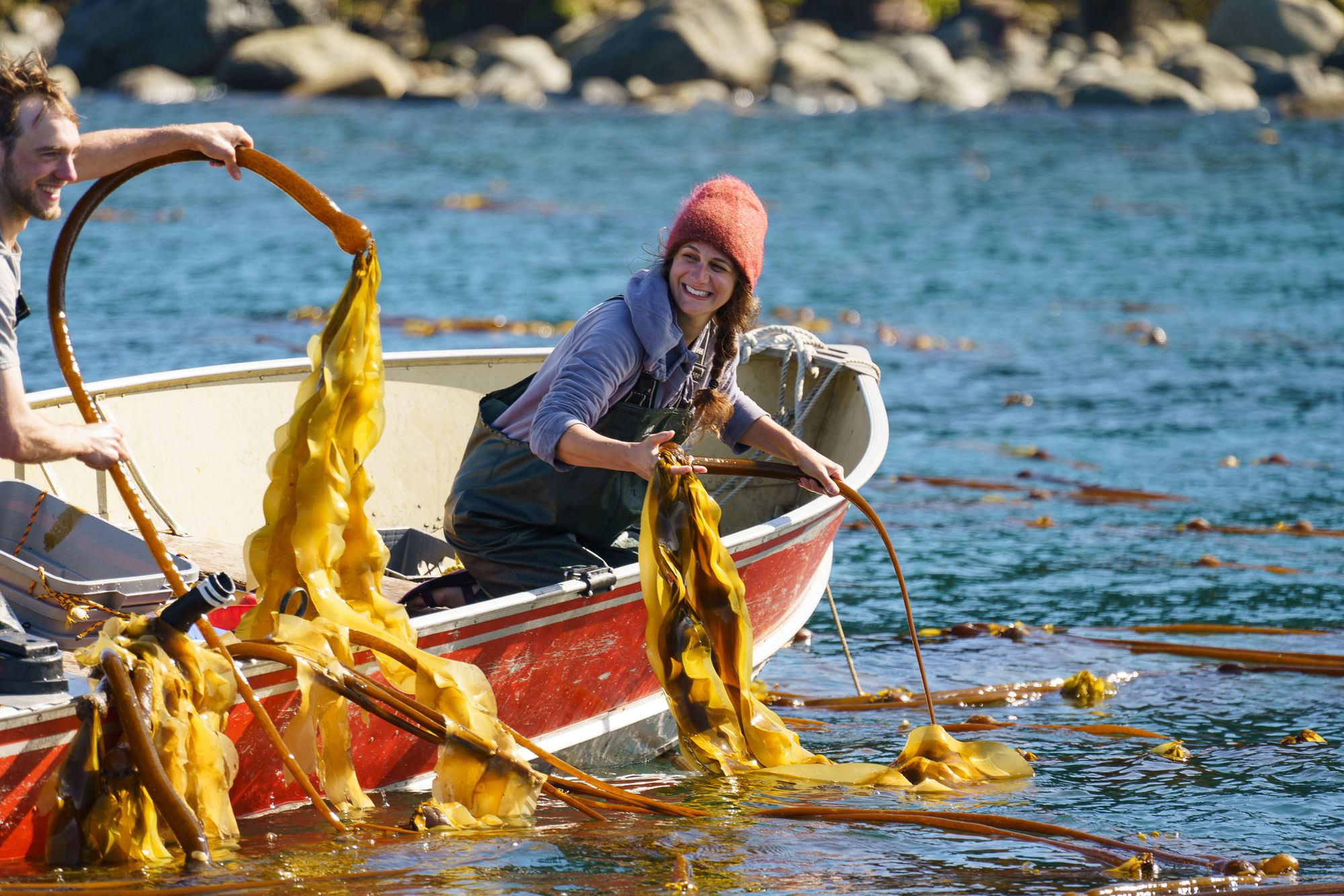 From Our Coast to Your Kitchen - Barnacle Food