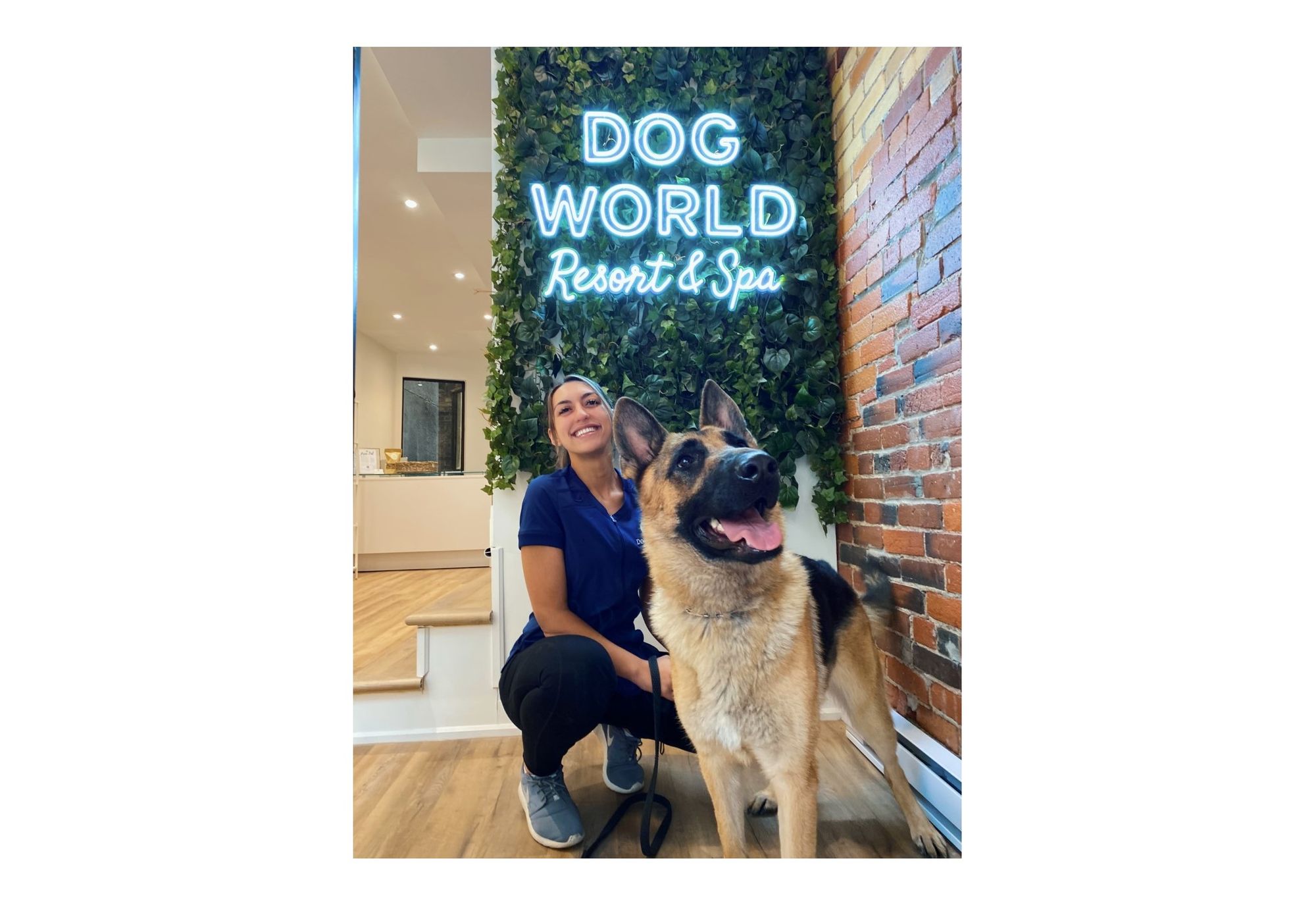 Commitment to the Safety & Well Being-Dog World Resort & Spa