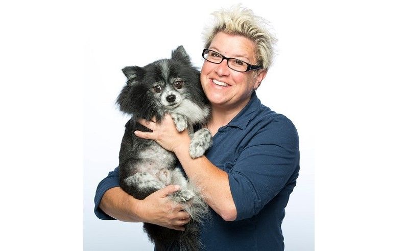 Your Pets, Our Pets, All Pets - Pet In The City