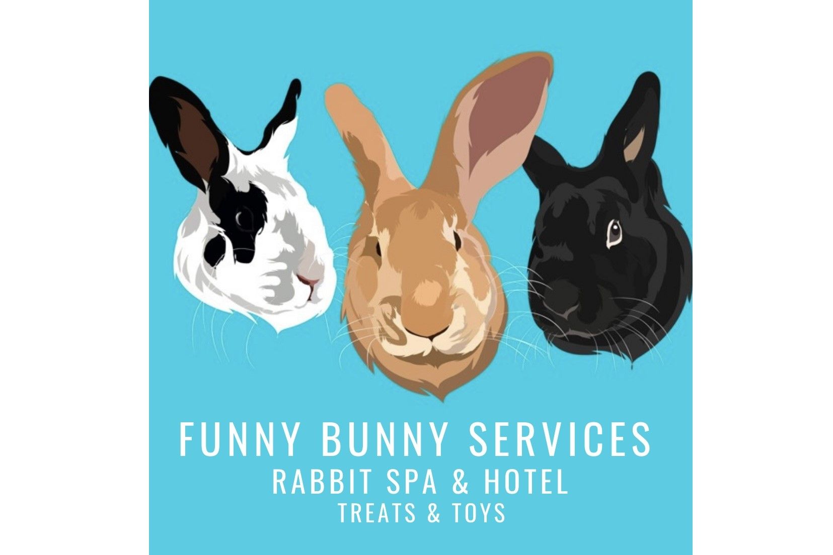 Pamper Your Bun - Funny Bunny Services