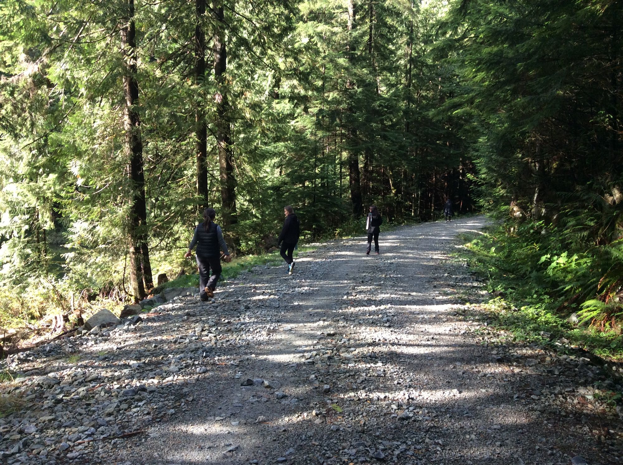 Holistic Yoga - Ocean Breath Yoga & Wellness