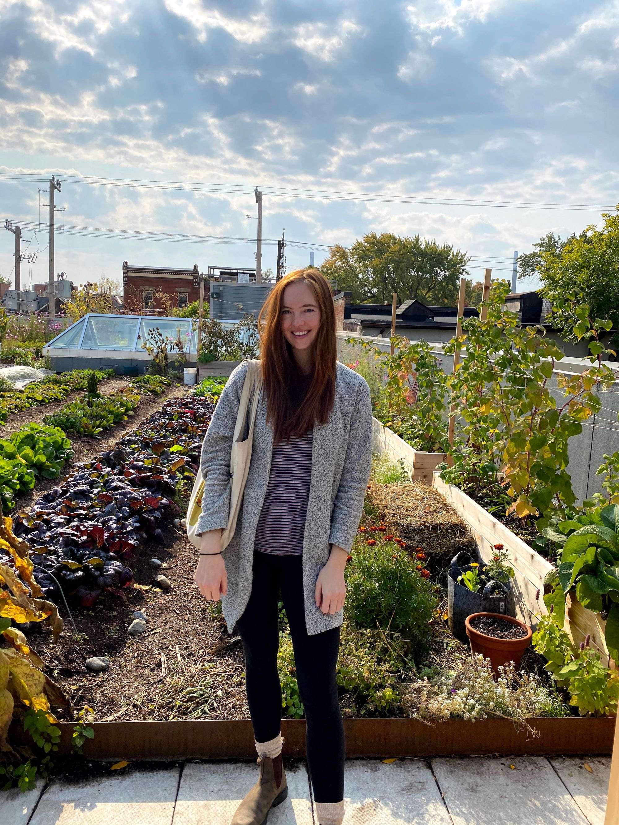 Growing Urban Food Spaces & Experiences - Raised Roots