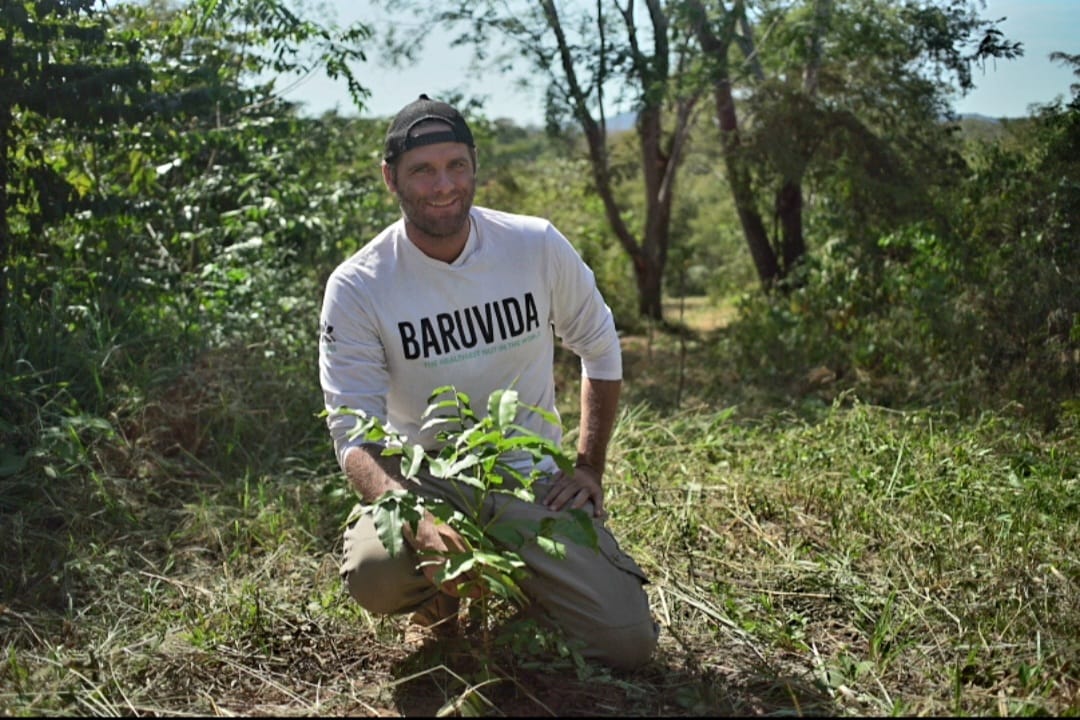 The World’s Healthiest Nut - Baruvida