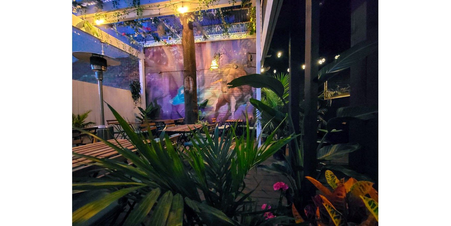 Warm and Cozy Ambiance and Refined Craft Cocktails - Aura