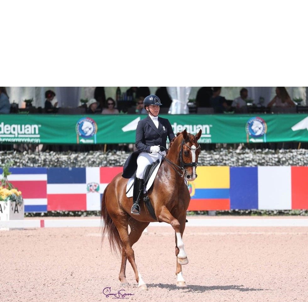 From Training Level to Grand Prix  - M2 Dressage