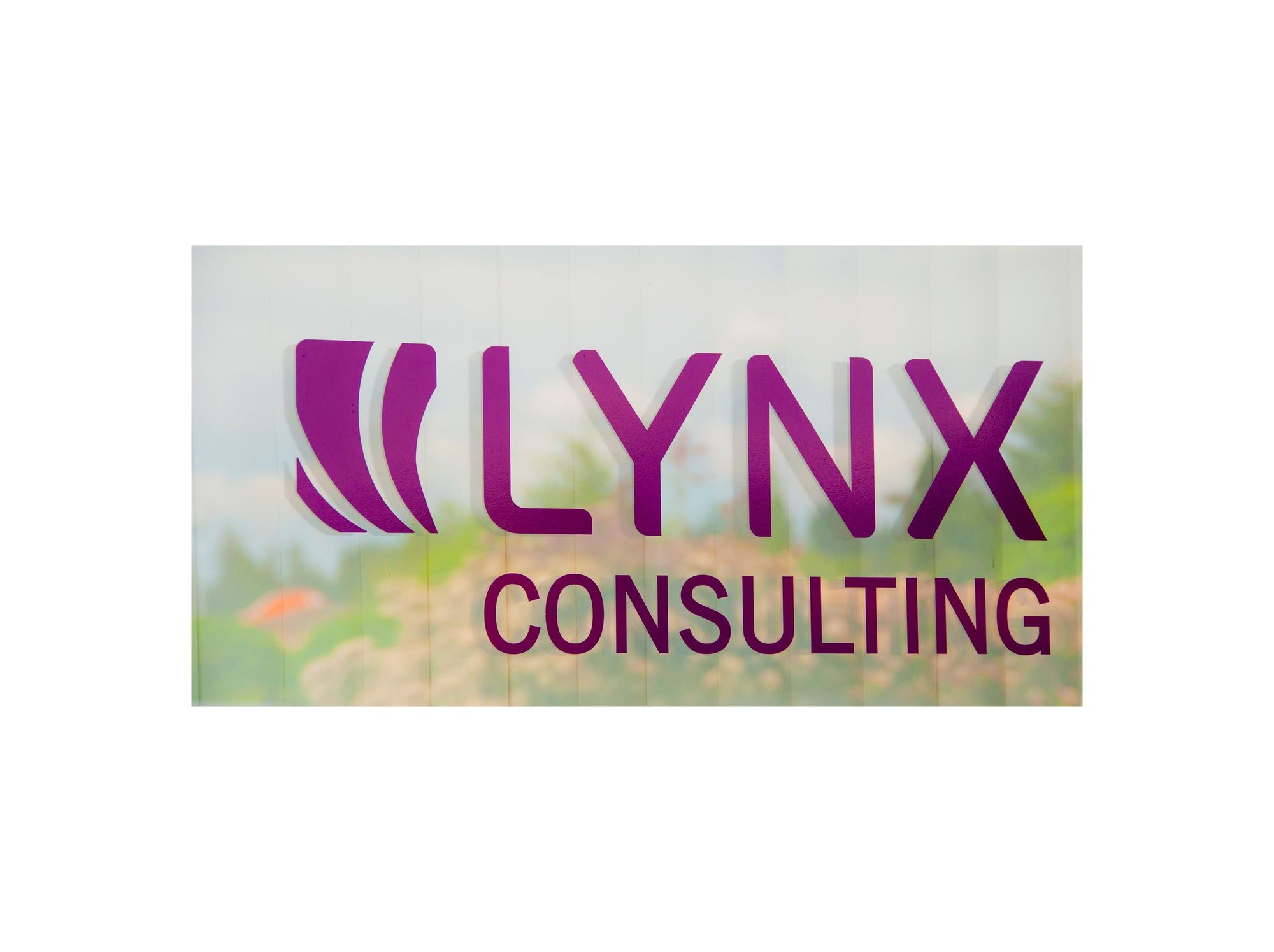 Connect To The Future - Lynx Consulting