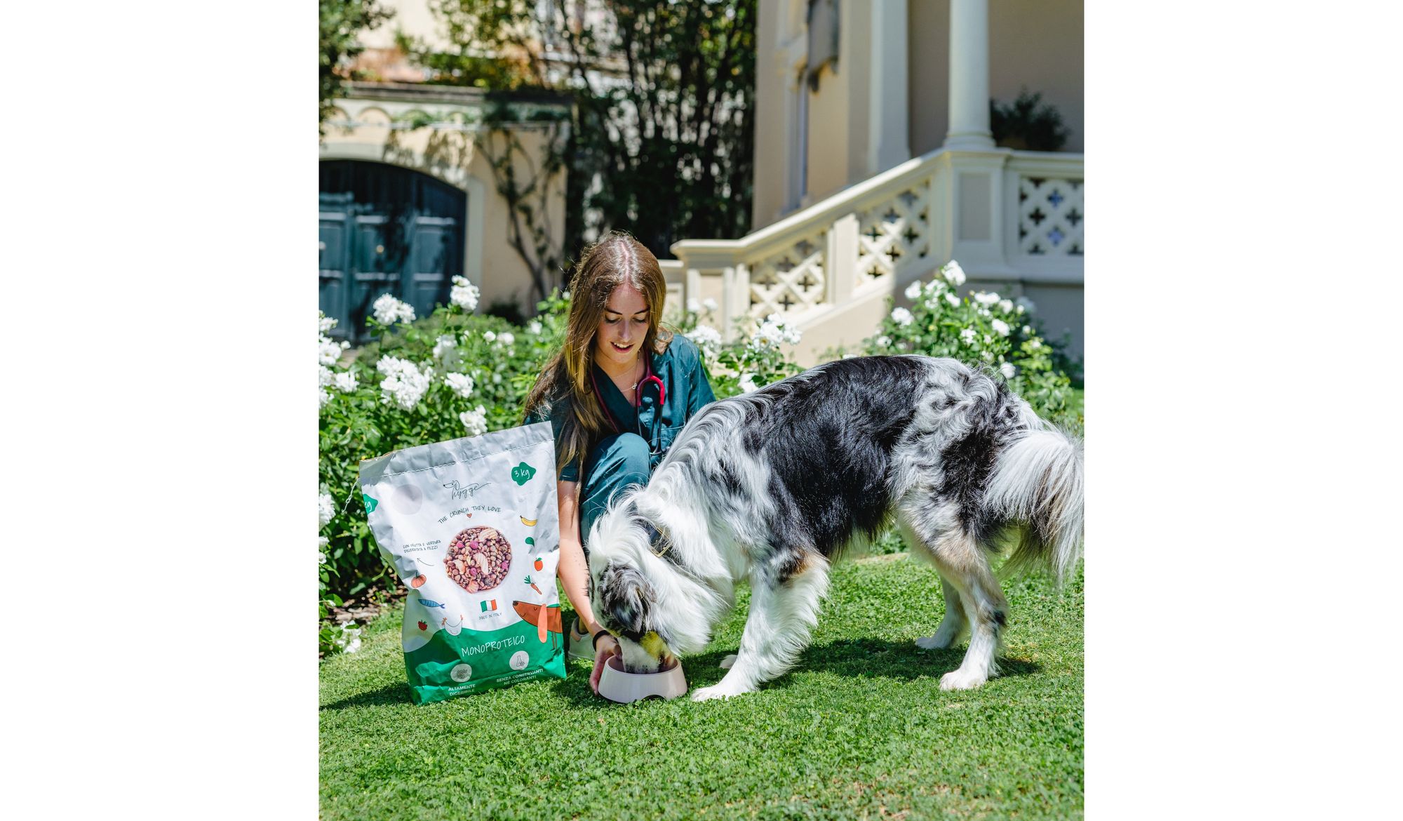 Keeping Your Dog Healthy and Happy - Hygge