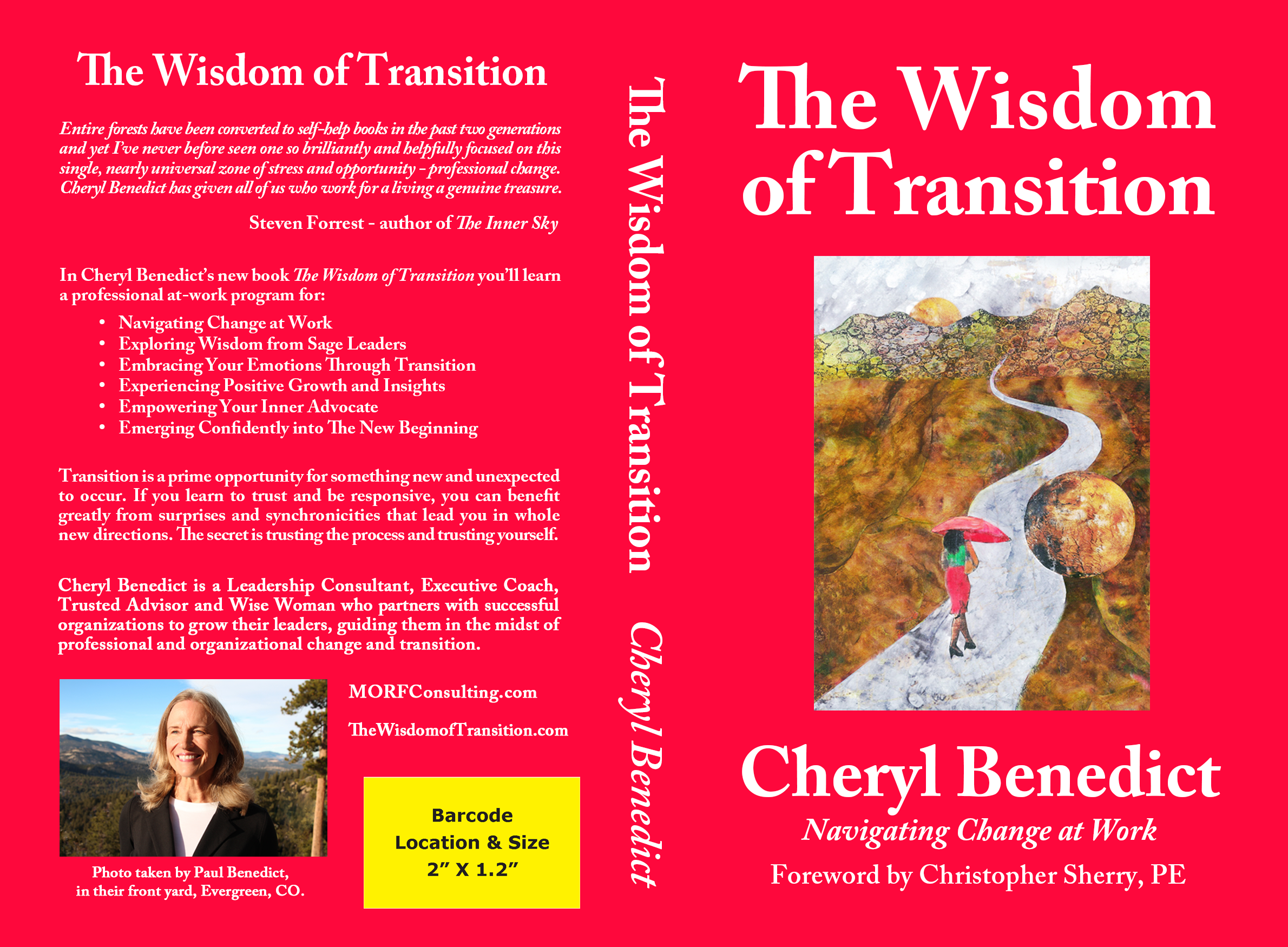Transform Your Leaders Morf Consulting Transform Your Leaders Morf Consulting