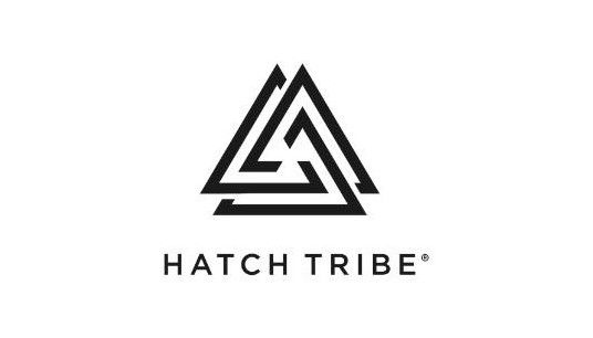 Become the CEO Your Business Needs You to Be - Hatch Tribe