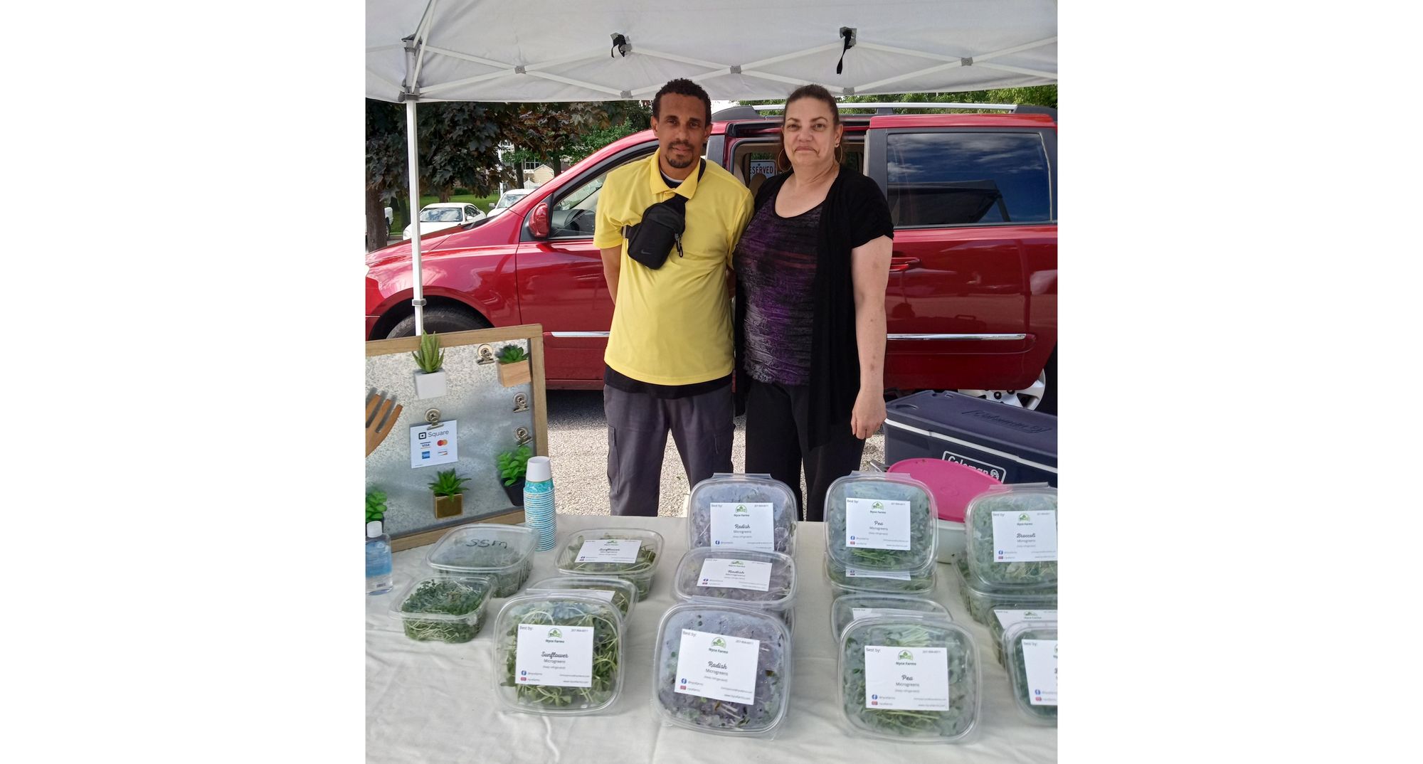 Delicious Locally Grown Microgreens - Nyce Farms