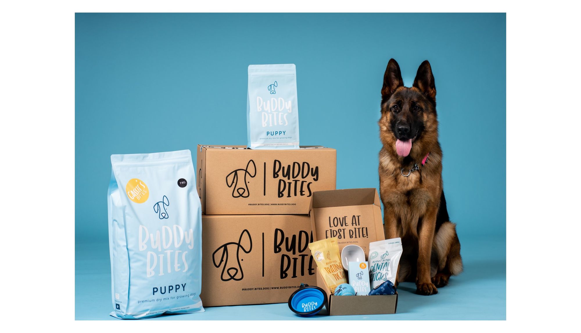 Premium European Kibble, Delivered to Your Door - Buddy Bites