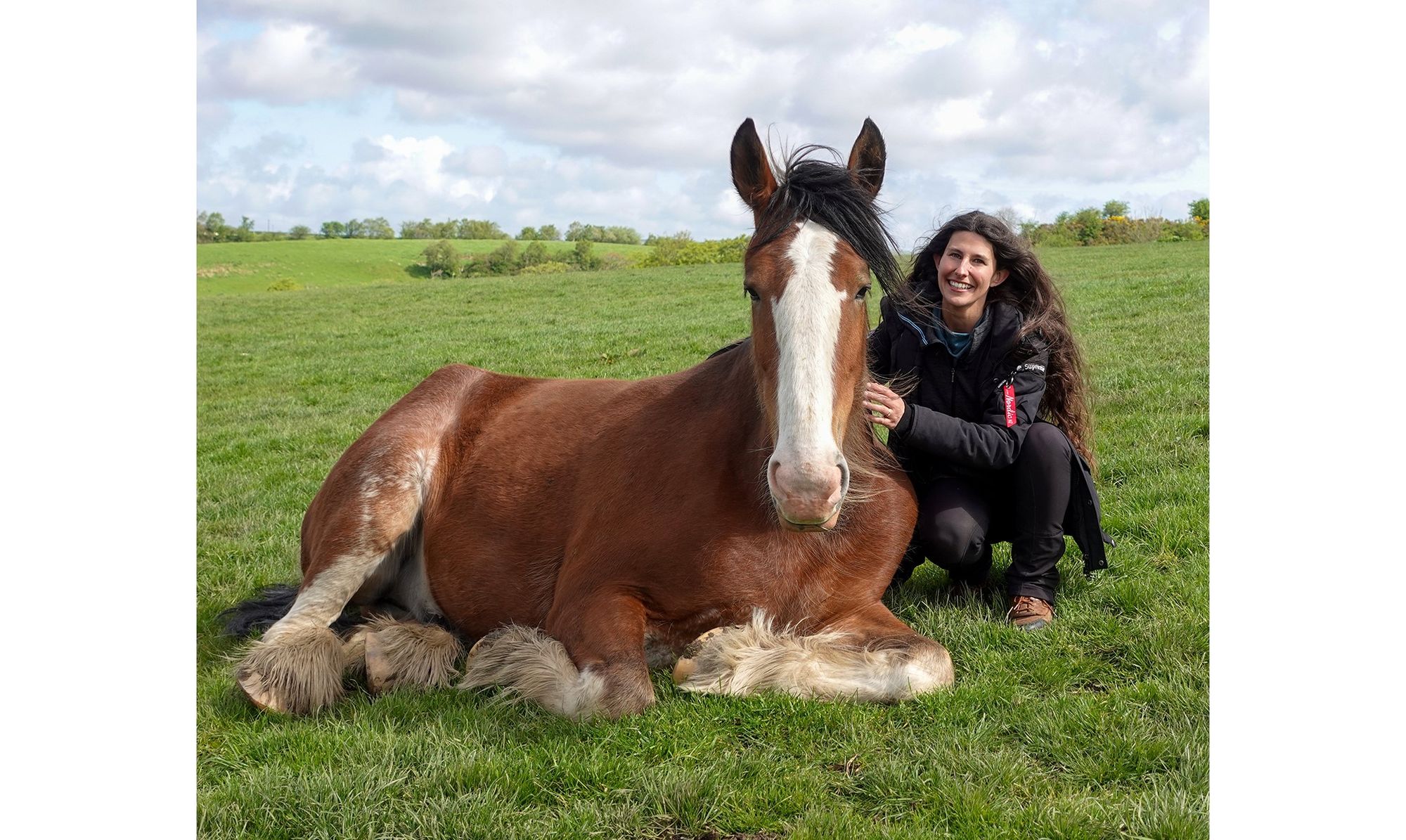 On a Quest to Ride Every Horse Breed! - DiscoverTheHorse