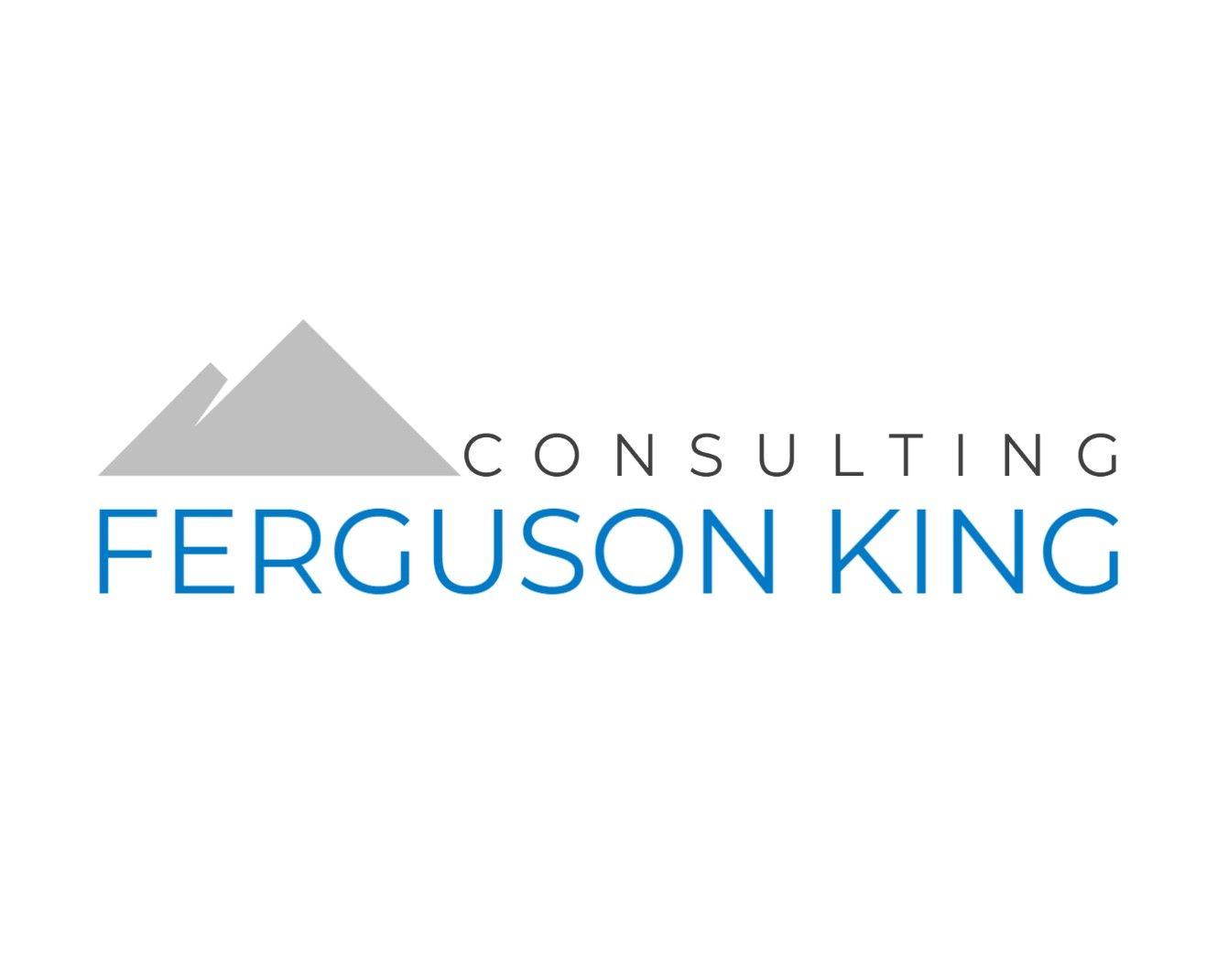 Data, Insight, Impact - Ferguson King Consulting