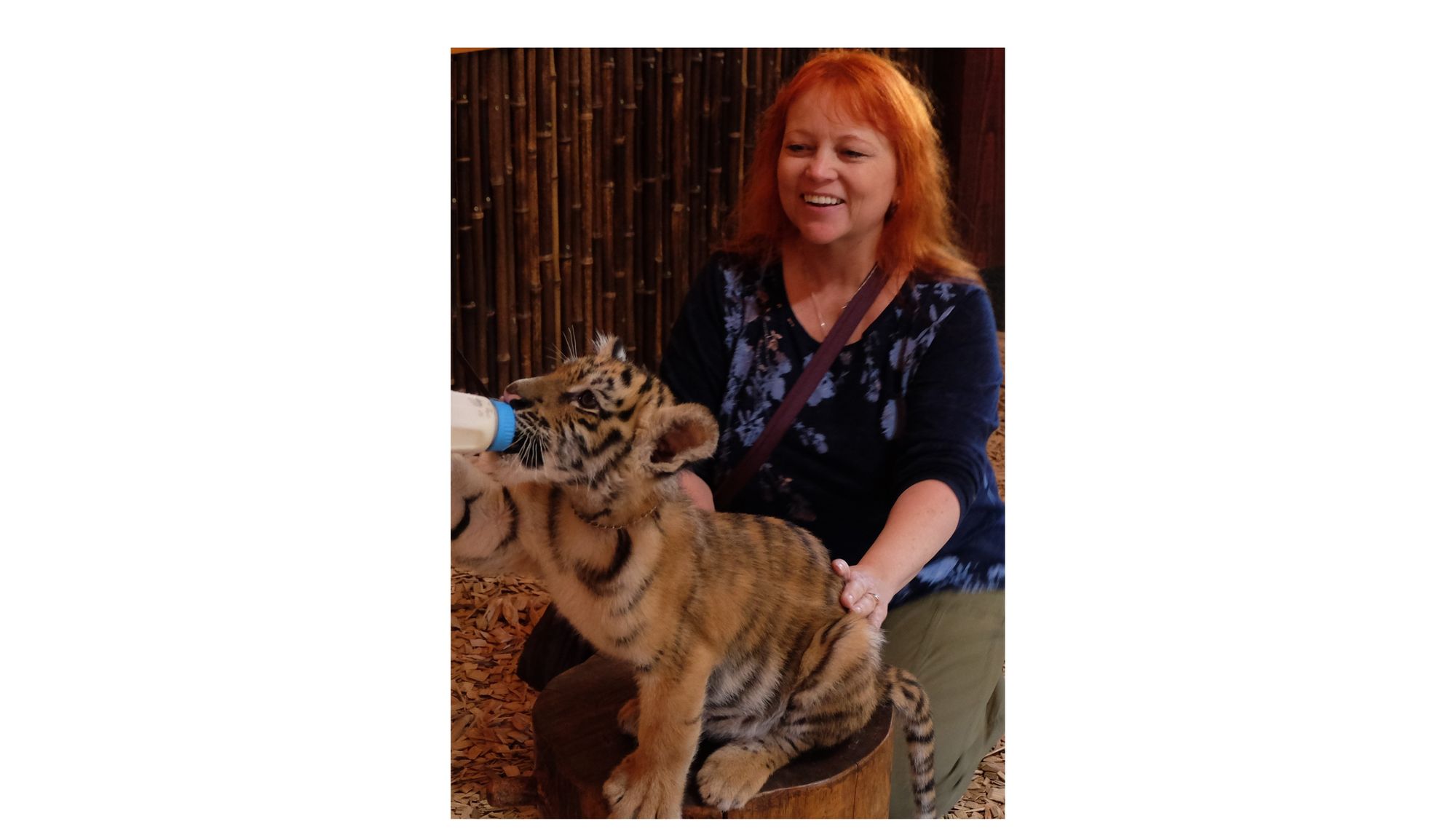 Clarity. Connection. Clients - Create Your Dream Practice