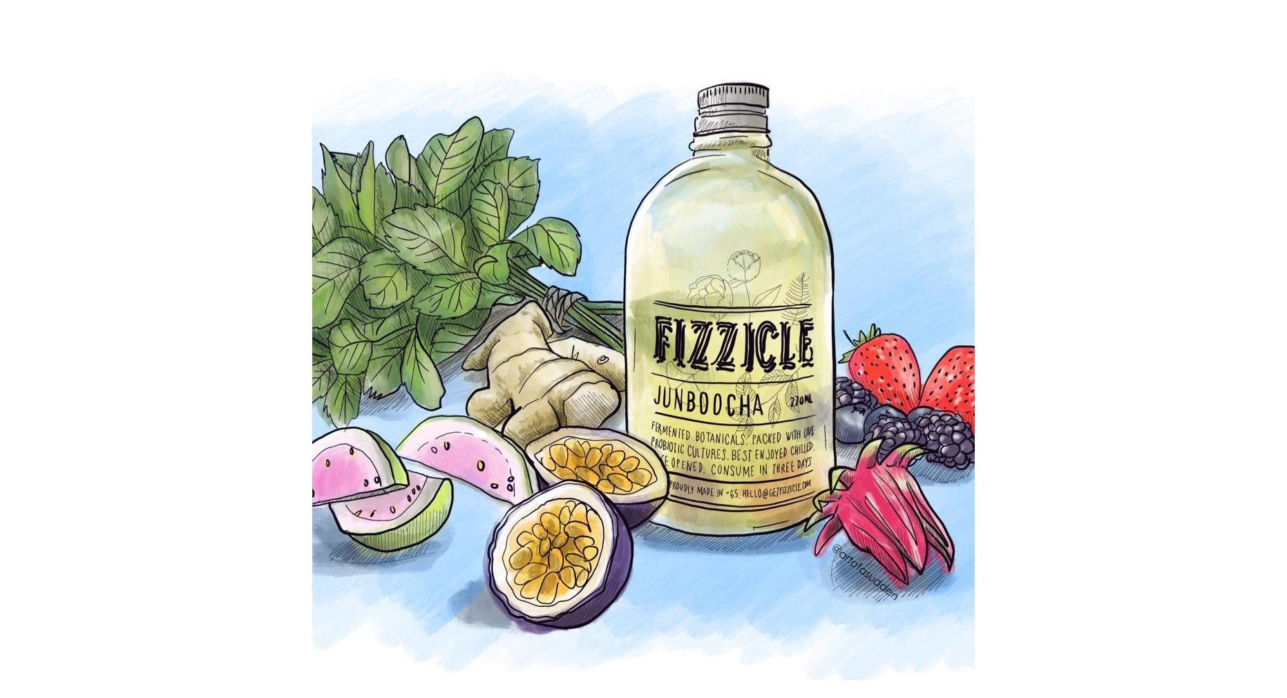 Tasty, Fizzy, and Healthy - Fizzicle Kombucha