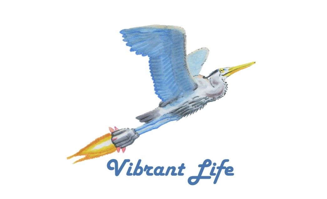 Self Care - Vibrant Life USA