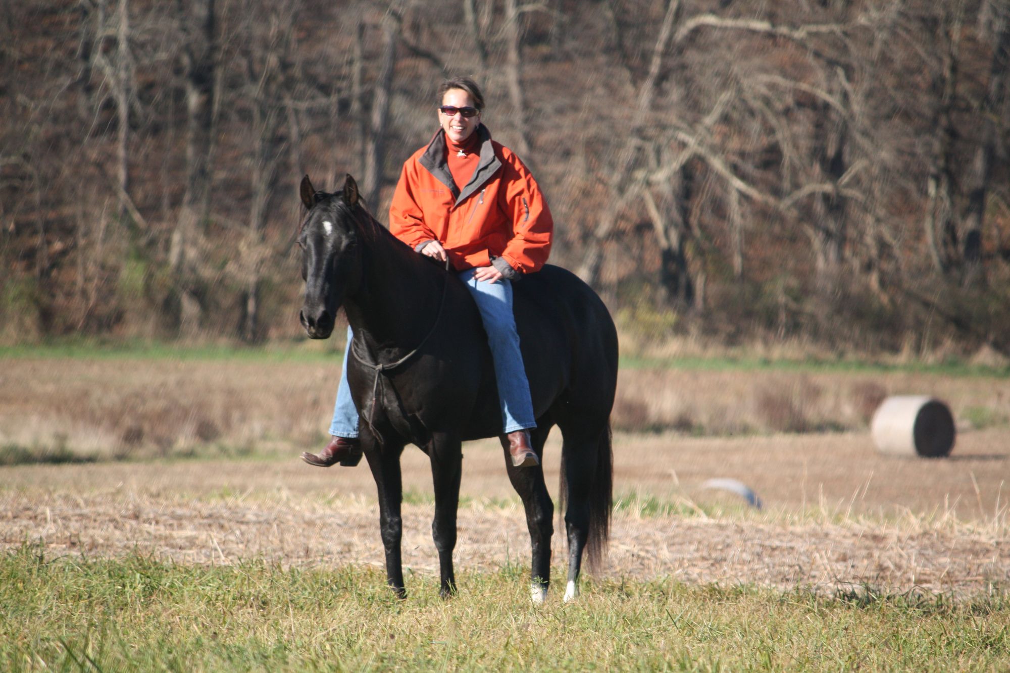 The Way to All Things Possible With Horses - Caroline Beste