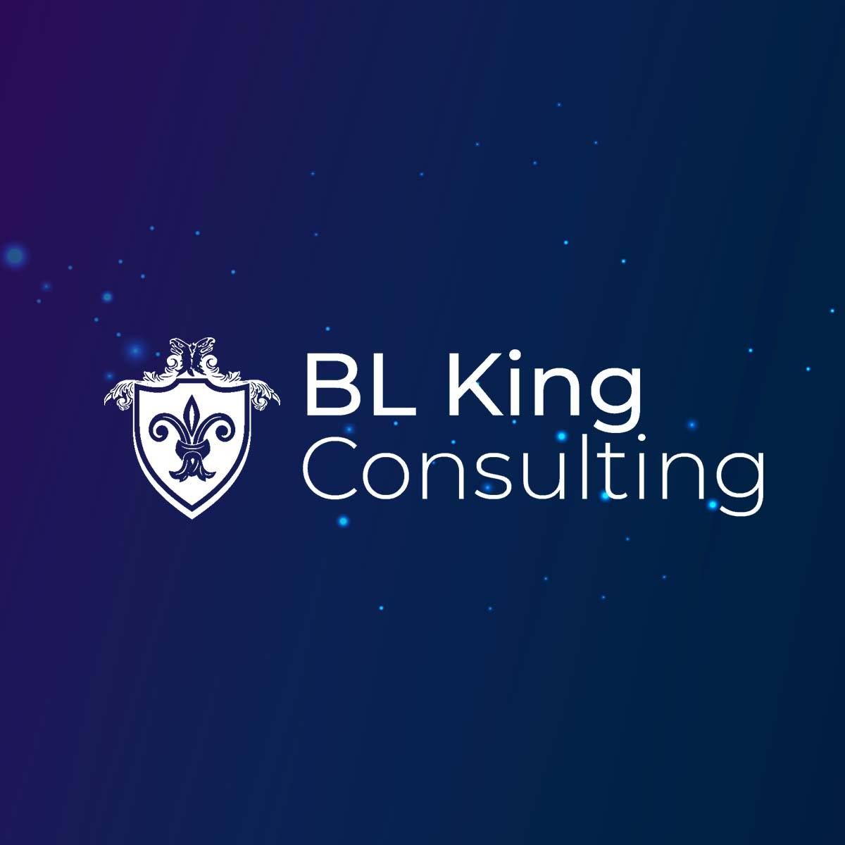 Practical Problem Solvers - BL King Consulting