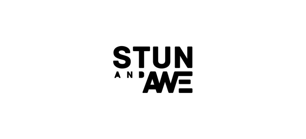 We Help Build Sustainable Businesses - Stun and Awe