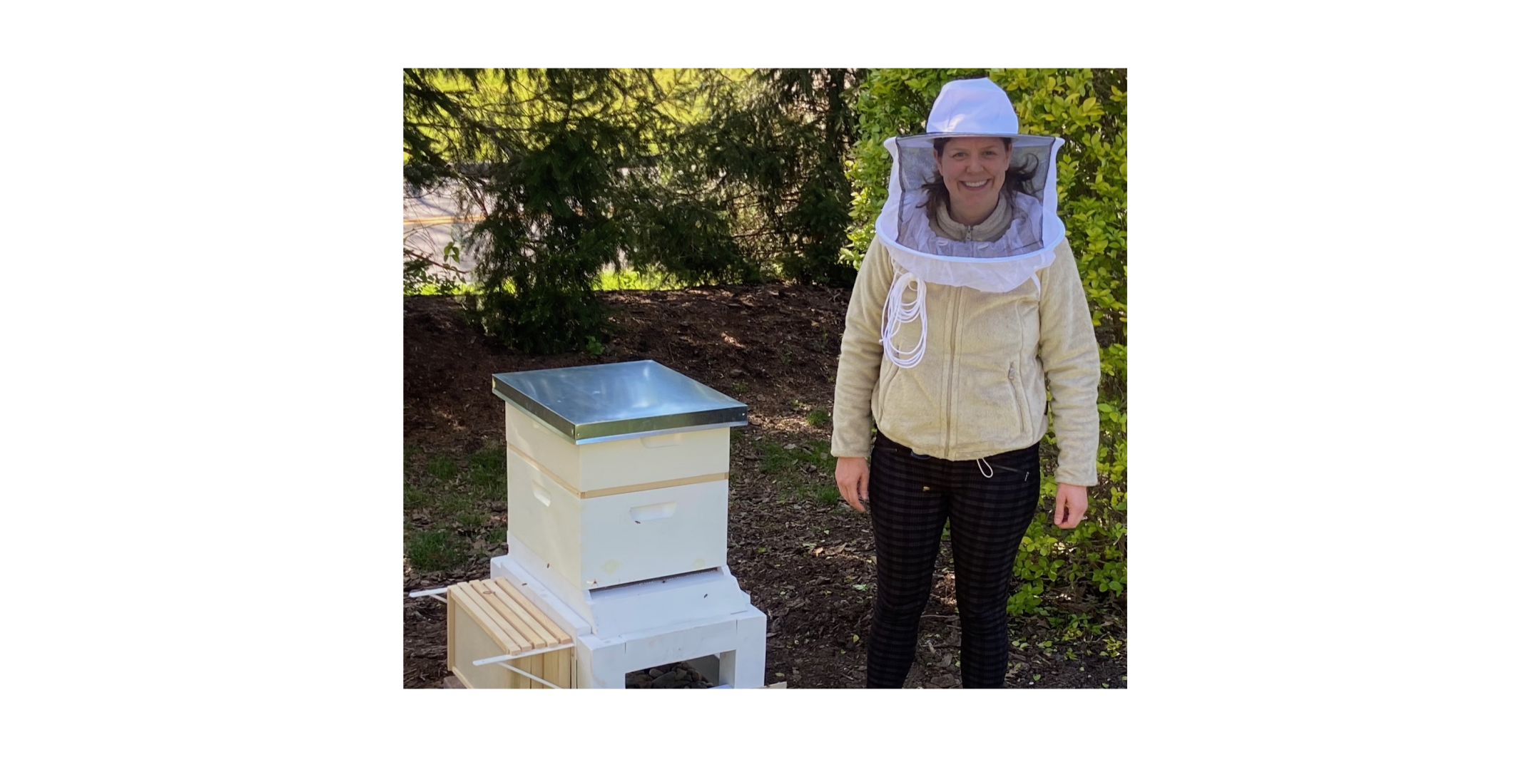 High-Quality Honey and Beeswax - McKnight Bee Products