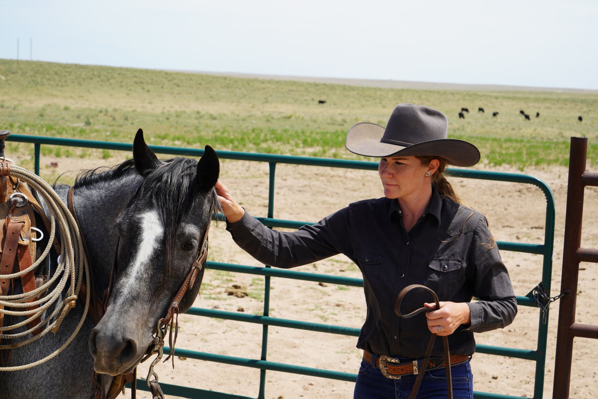 The Dinner You Deserve - Colorado Craft Beef