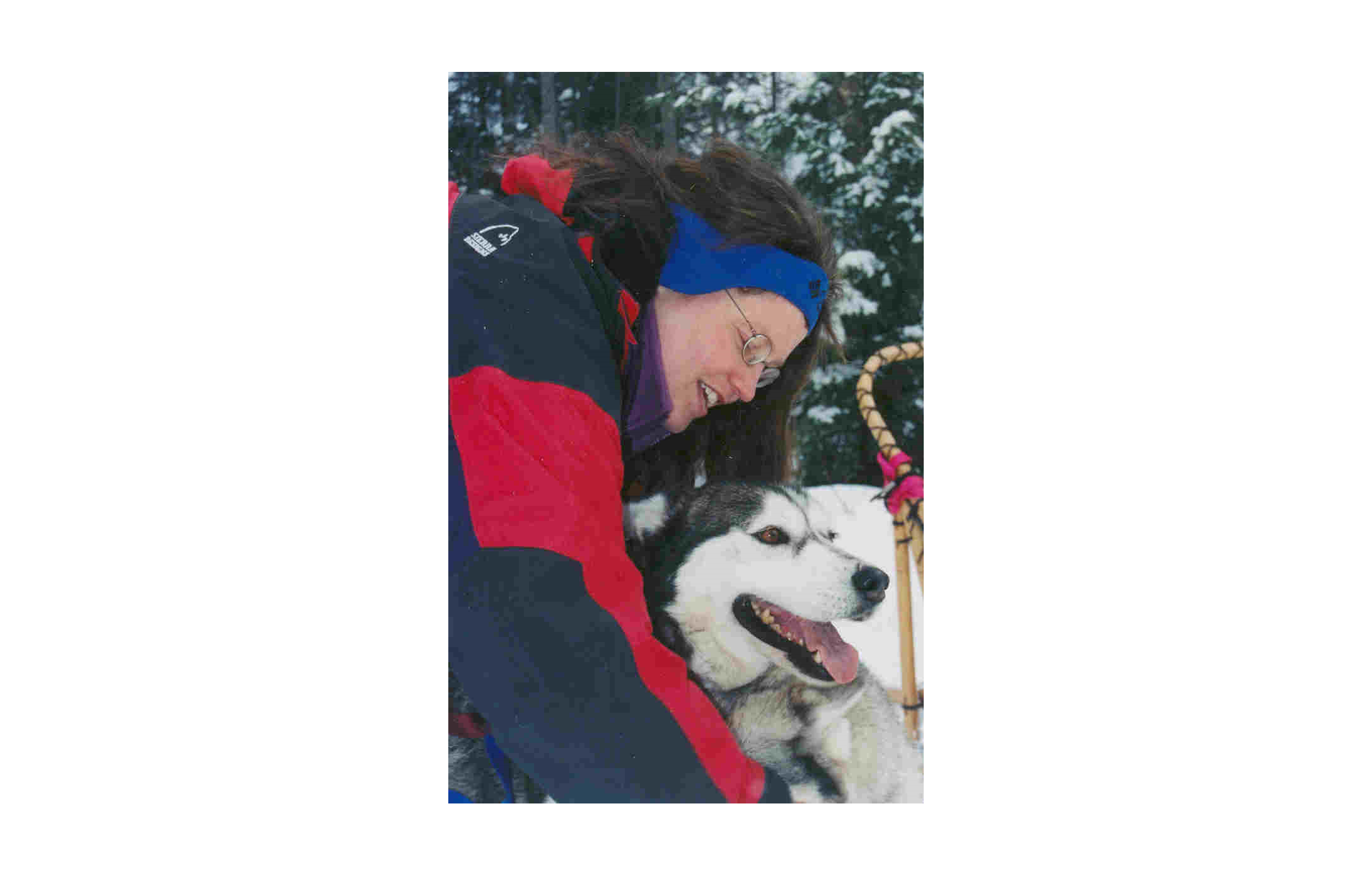 The Wonder Of Dogsledding - Winterdance Dogsled Tours