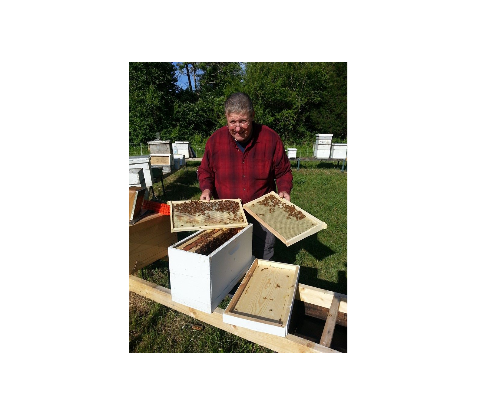 Over 50 Years of Beekeeping + Honey Making-Hungry Hill Farm