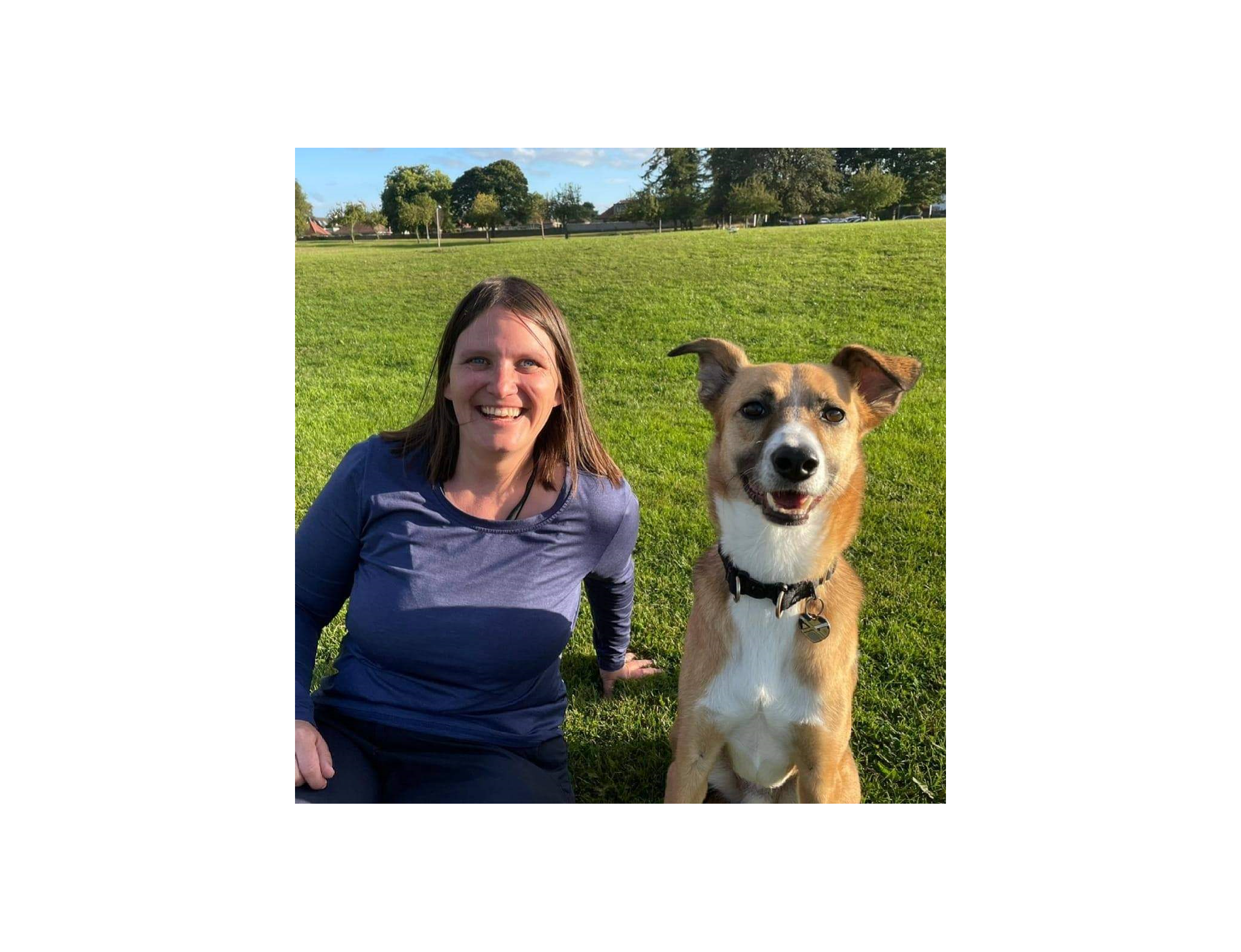 Dog Training, Dog First Aid, and Happy Humans - Dog Tales