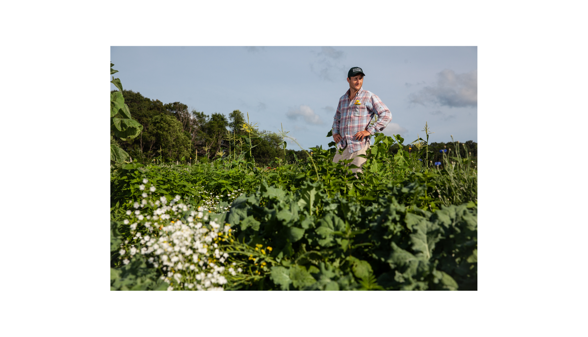 Great Herbs Make Great Tea - Sacred Blossom Farm