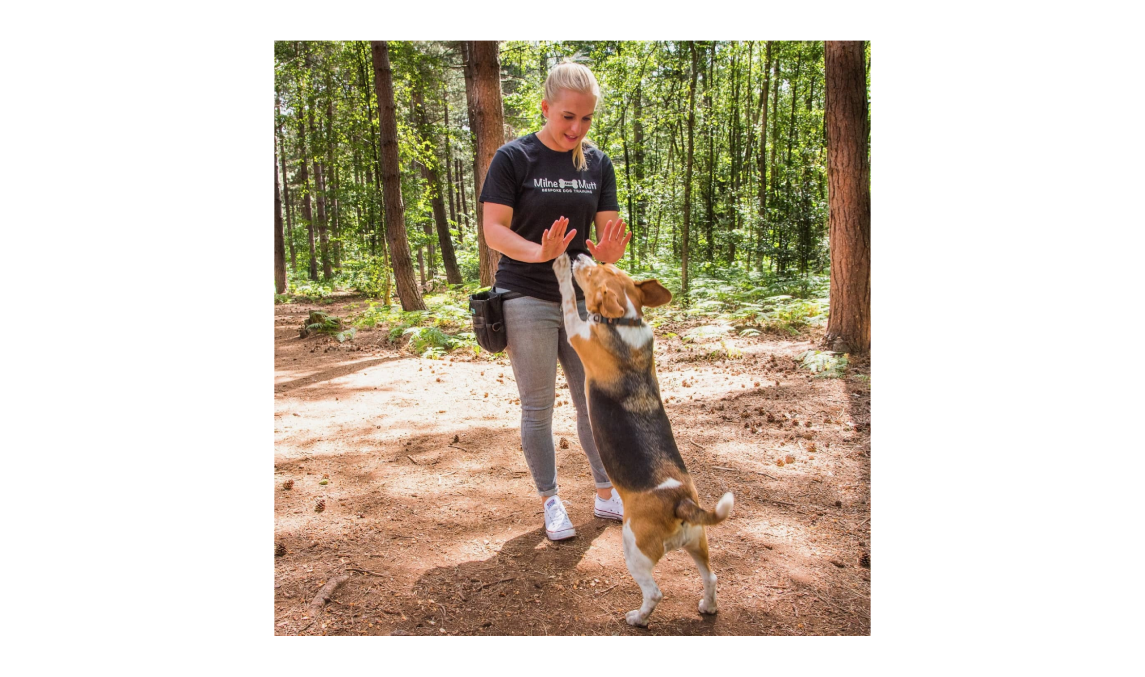 Reward-based, Fun, and Kind - Milne and Mutt Dog Training