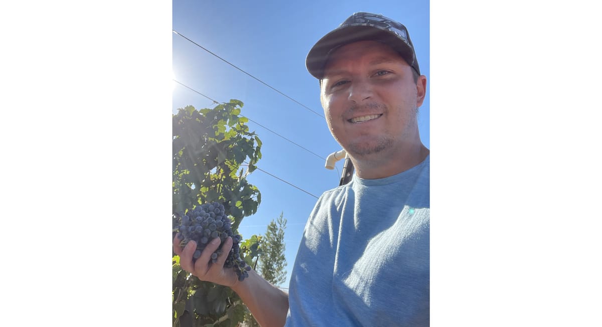 For Anyone Who Loves Great Wines! Cella Winery